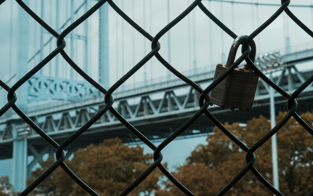 Navigating Companionships and Conflict in Missionary Life